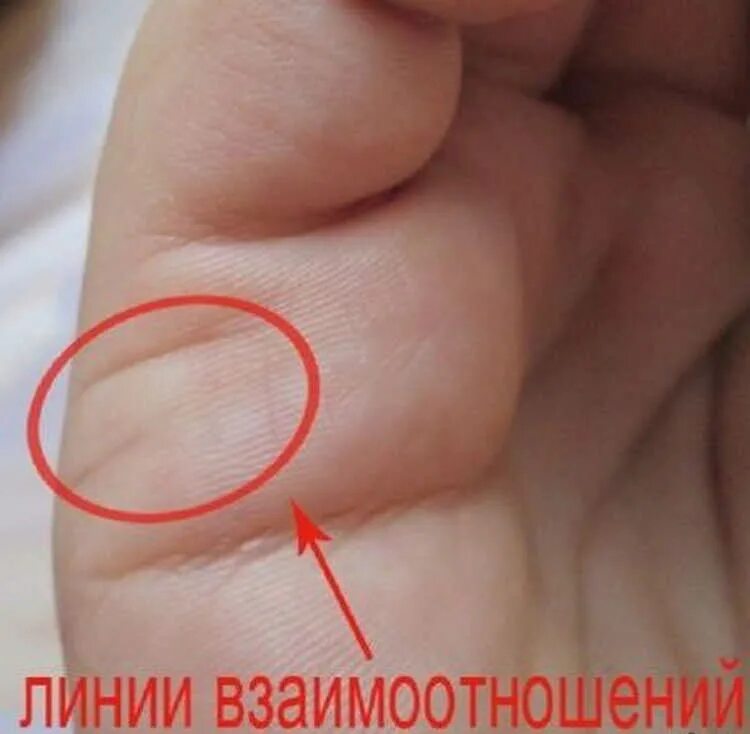 линия брака. хиромантия линия брака расшифровка линии брака. как можно гадать по руке. линия брака на ладони. линия брака на руке.