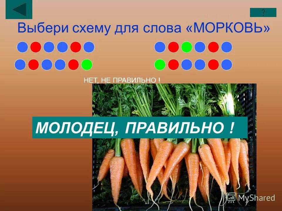 Морковь 1 разбор