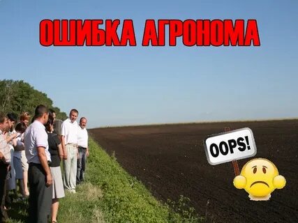 Чистый пар