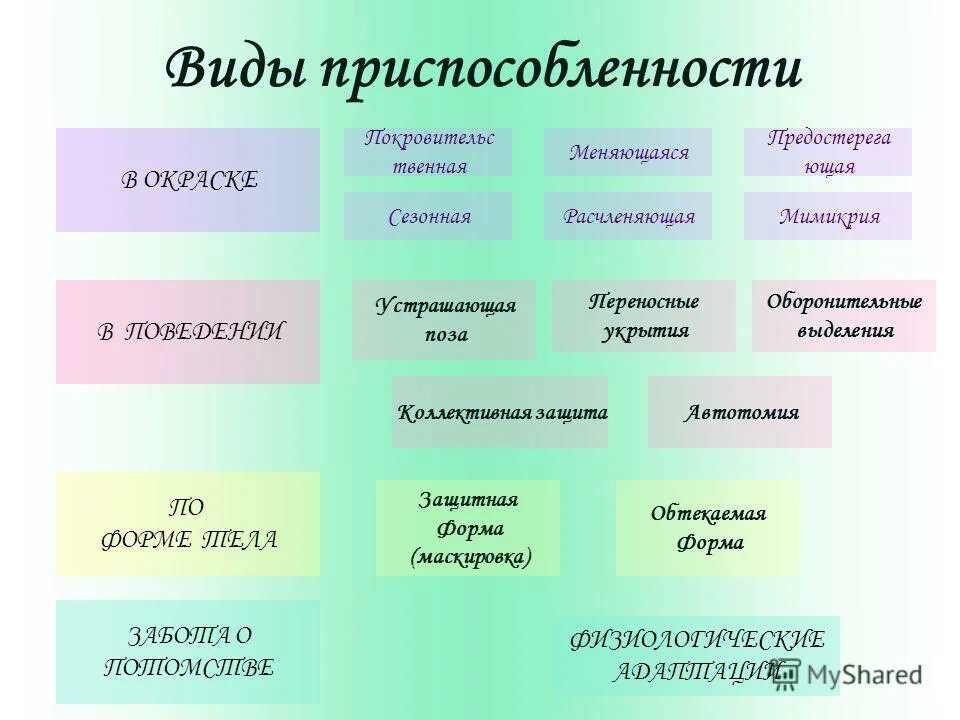 Адаптация 11 класс. Типы приспособлений организмов. Виды приспособленности. Типы приспособления в биологии. Формы приспособленности организмов.