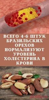 Какие орехи понижают холестерин