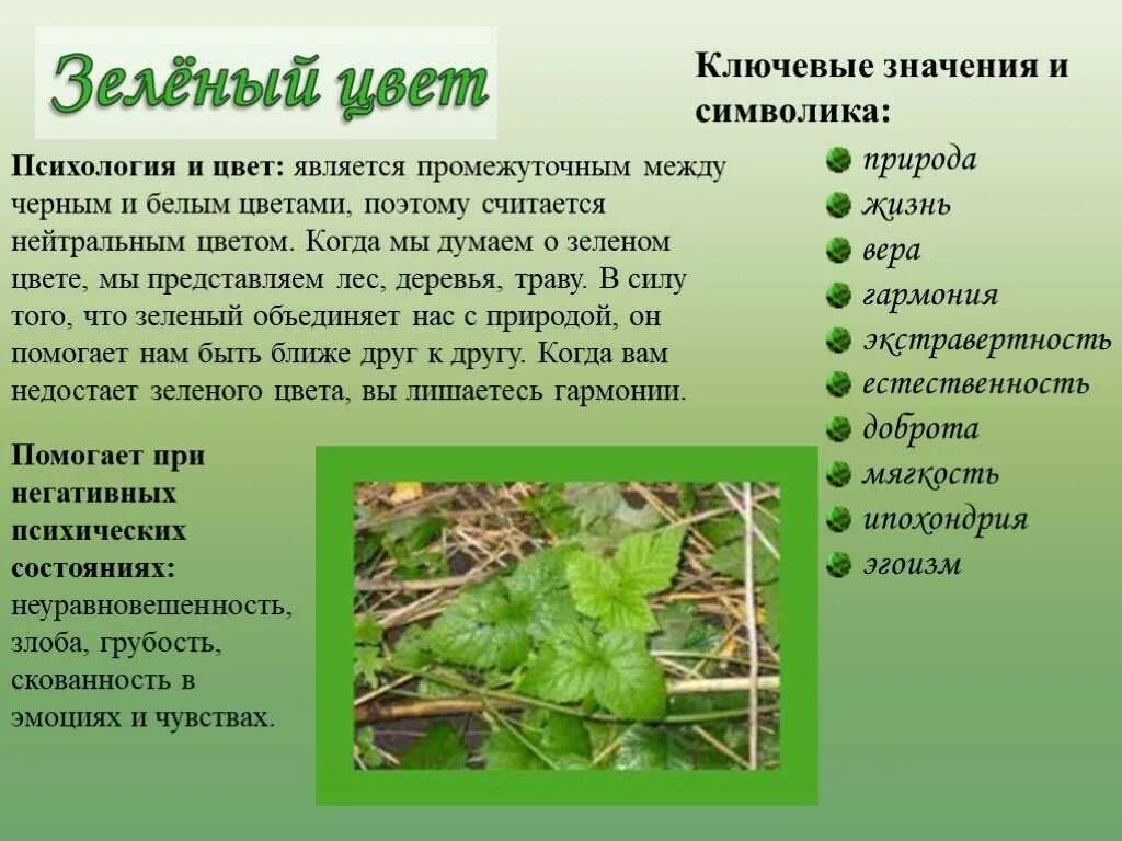 Значение цветов зеленый
