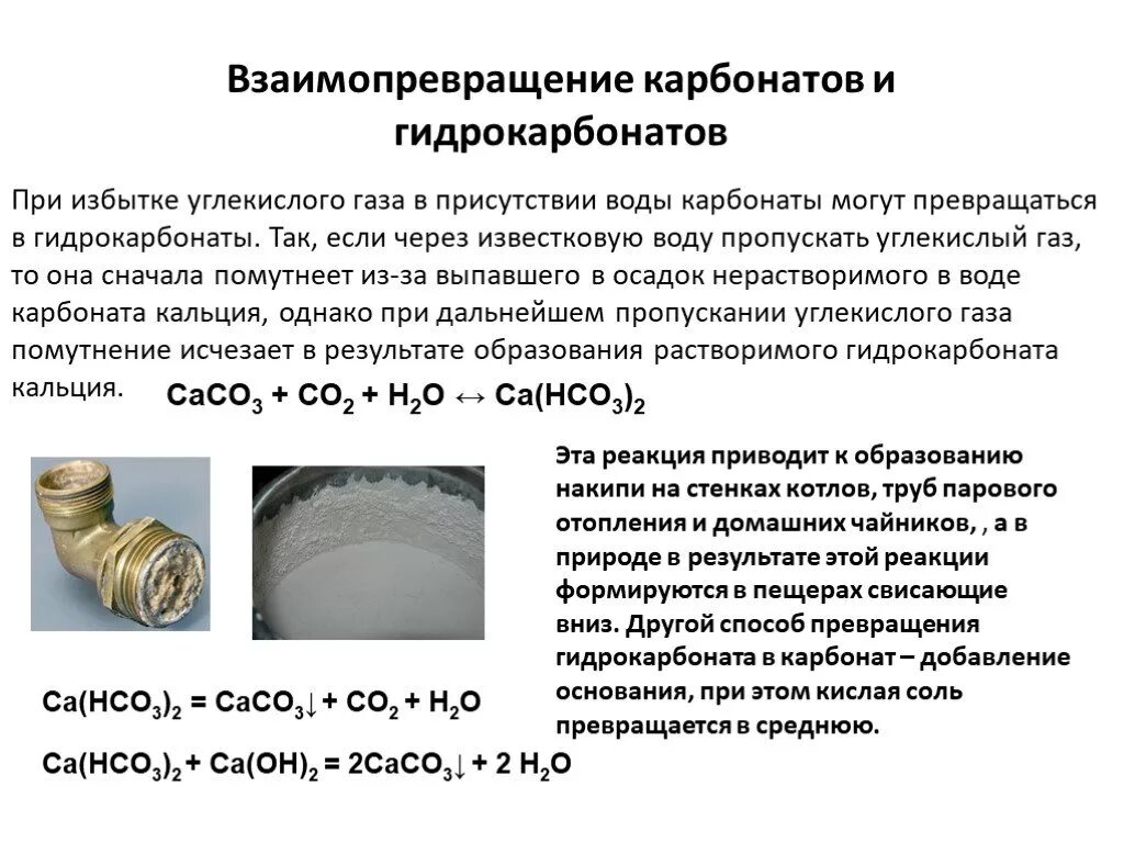 Гидрокарбонат кальция известковая вода. Взаимопревращение карбонатов и гидрокарбонатов. Превращение карбонатов в гидрокарбонаты. Превращение карбонатов в гидрокарбонаты опыт. Карбонаты и гидрокарбонаты.