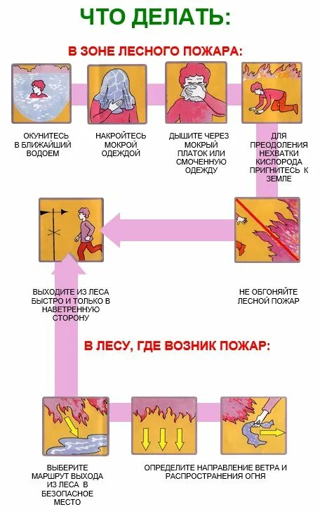 Алгоритм поведения при Лесном пожаре. Действия в зоне лесного пожара ОБЖ. Алгоритм действий при пожаре в лесу памятка. Памятка действия при Лесном пожаре.