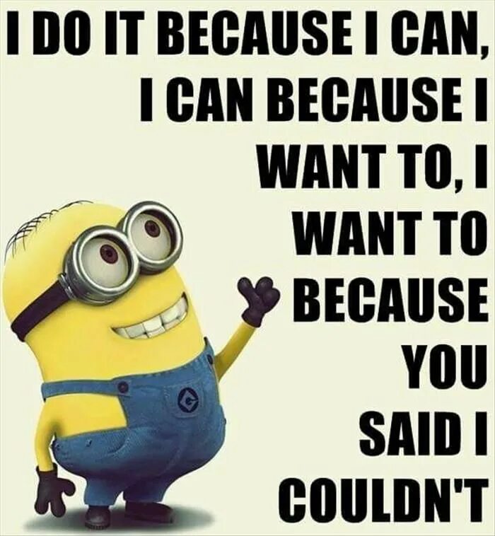 Because we can a