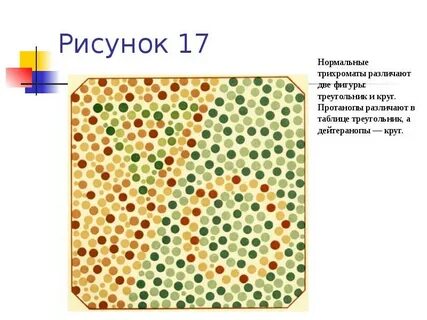 Таблица для водителей с ответами