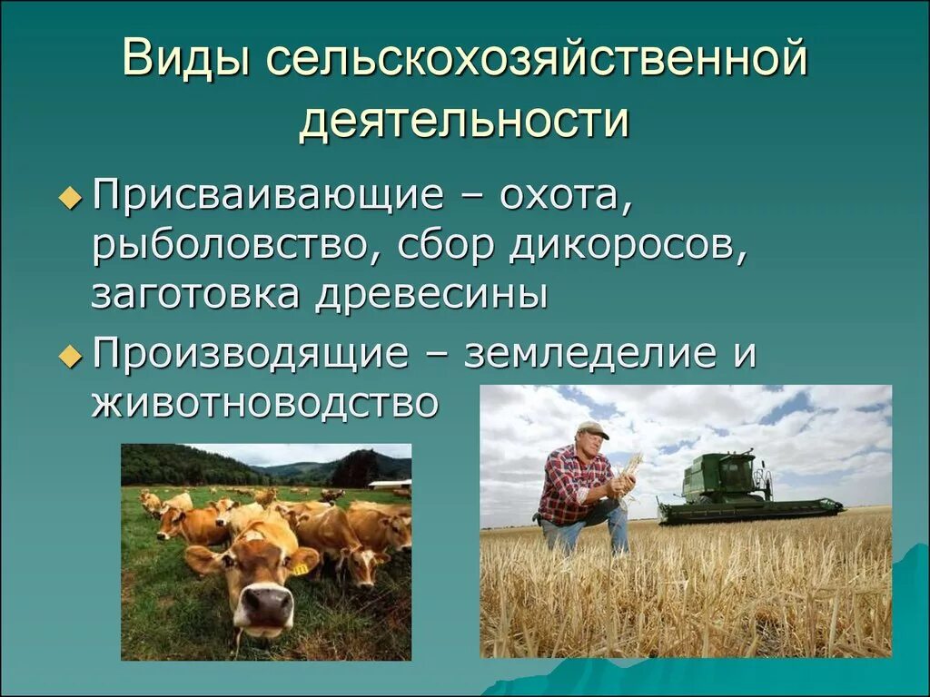 Значение в природе и хозяйственной деятельности человека. Сельское хозяйство для презентации. Виды сельскохозяйственных работ. Деятельность человека. Земледелие и животноводство.