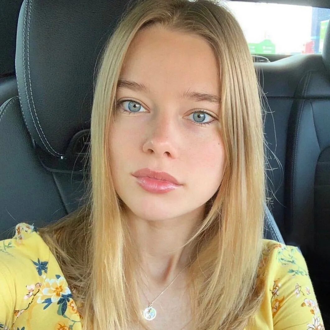 Model following