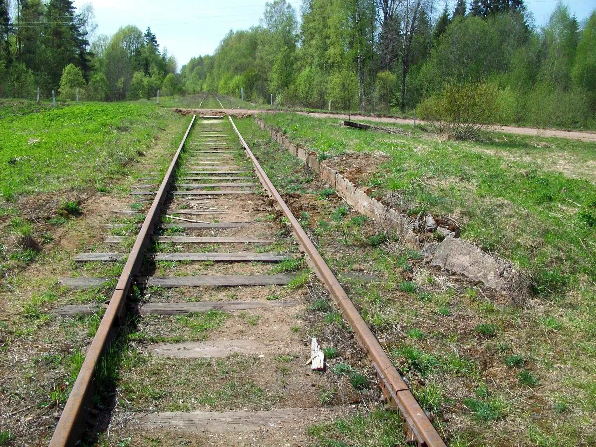 Железнодорожная линия Валдай Крестцы. Новгородская область ЖД. Платформа 179 км Новгородская область. ЖД линия Валдай Крестцы.