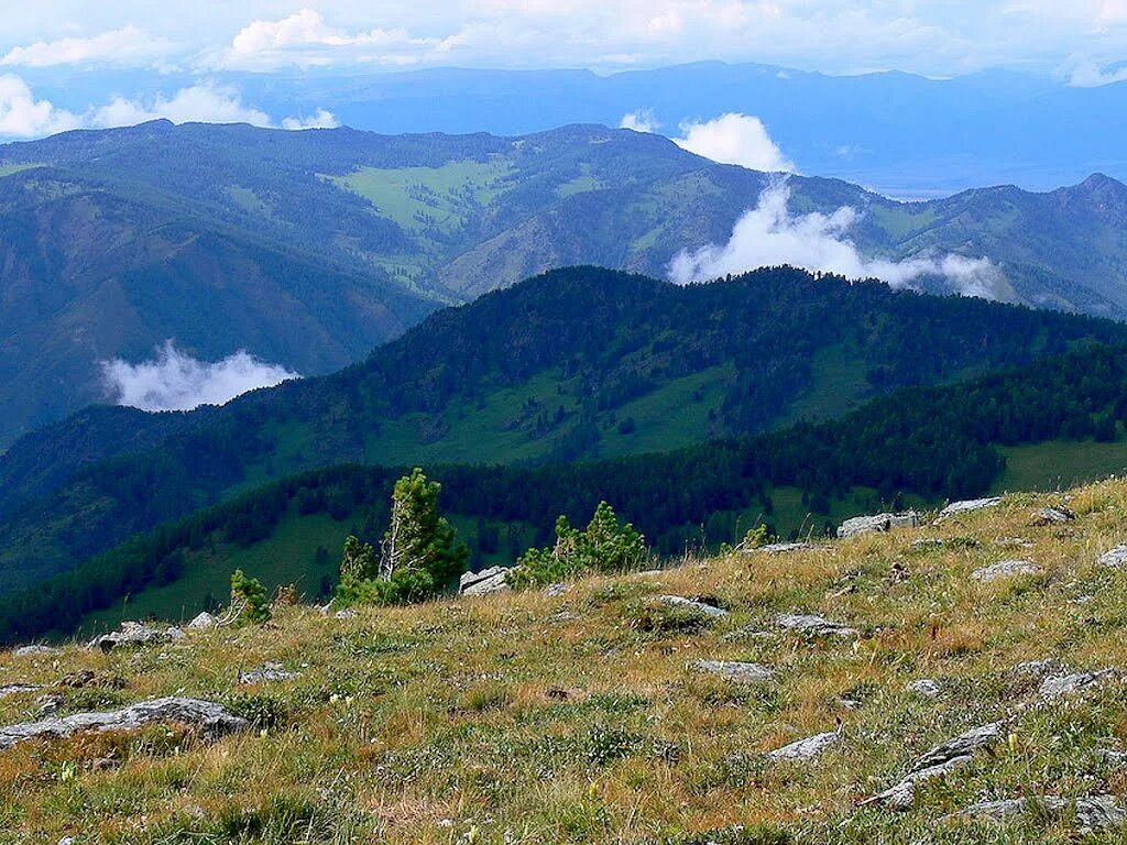 Алтайский край далеко