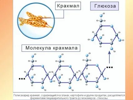 Модификация крахмала