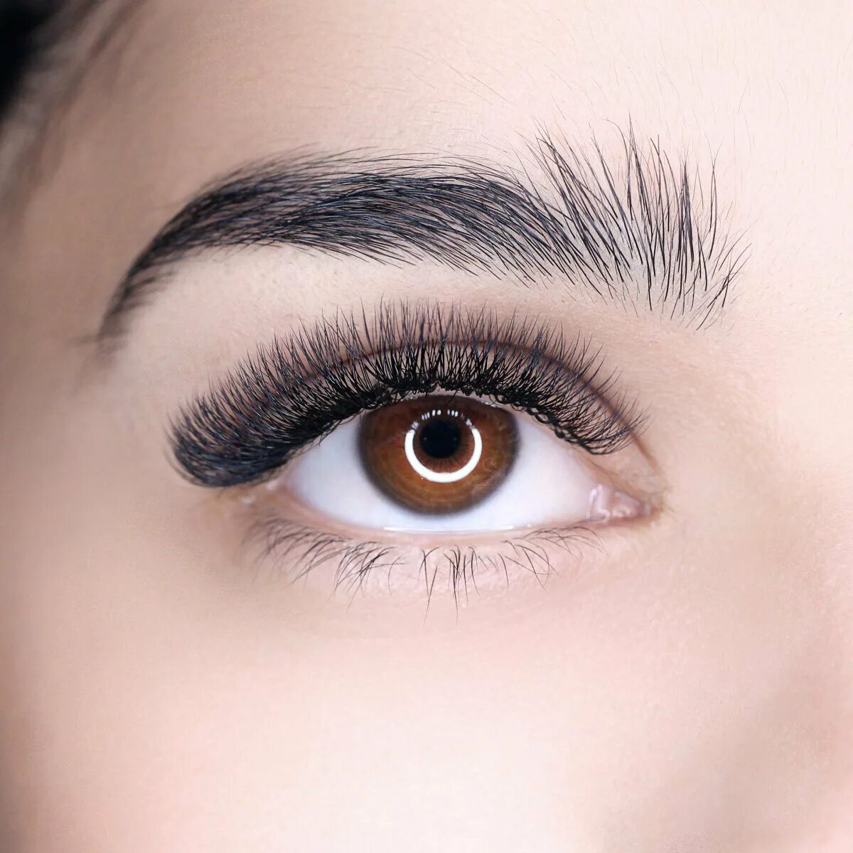 Brows lab
