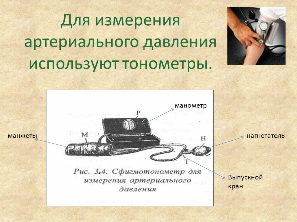 Для измерения давления используется. Измерение кровяного давления. что используют для измерения артериального давления. для измерения ад используется …. для измерения давления используют.