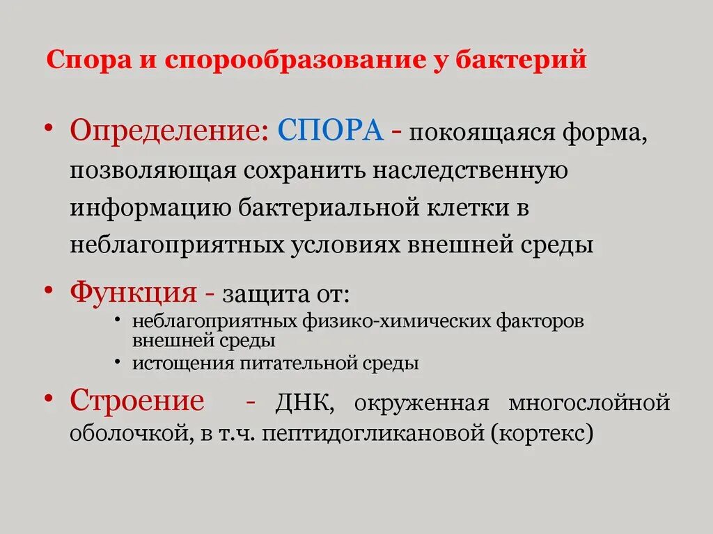 1 функции спора