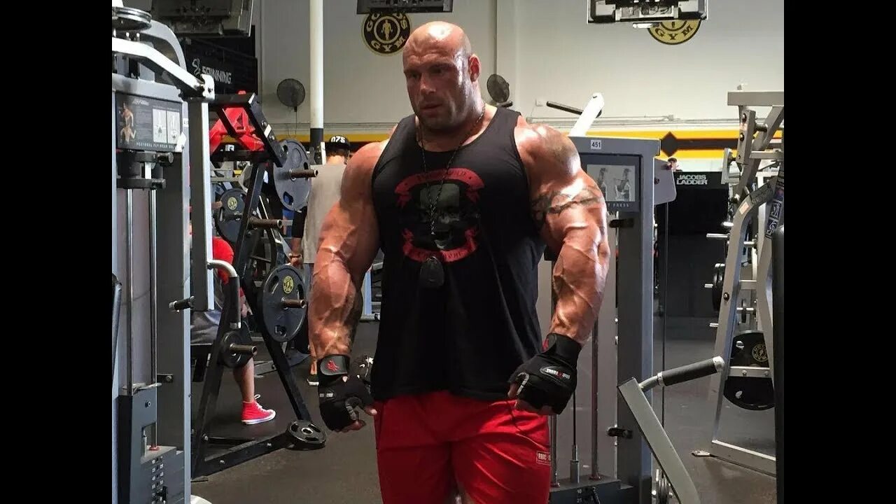 Сколько лет асте. Сколько лет асте. Морган асте. Morgan aste бодибилдинг. Сколько лет асте.