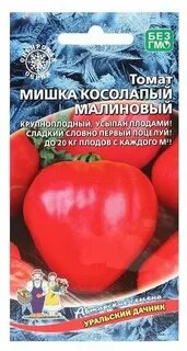 Томат мишка косолапый малиновый