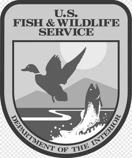 Wildlife services