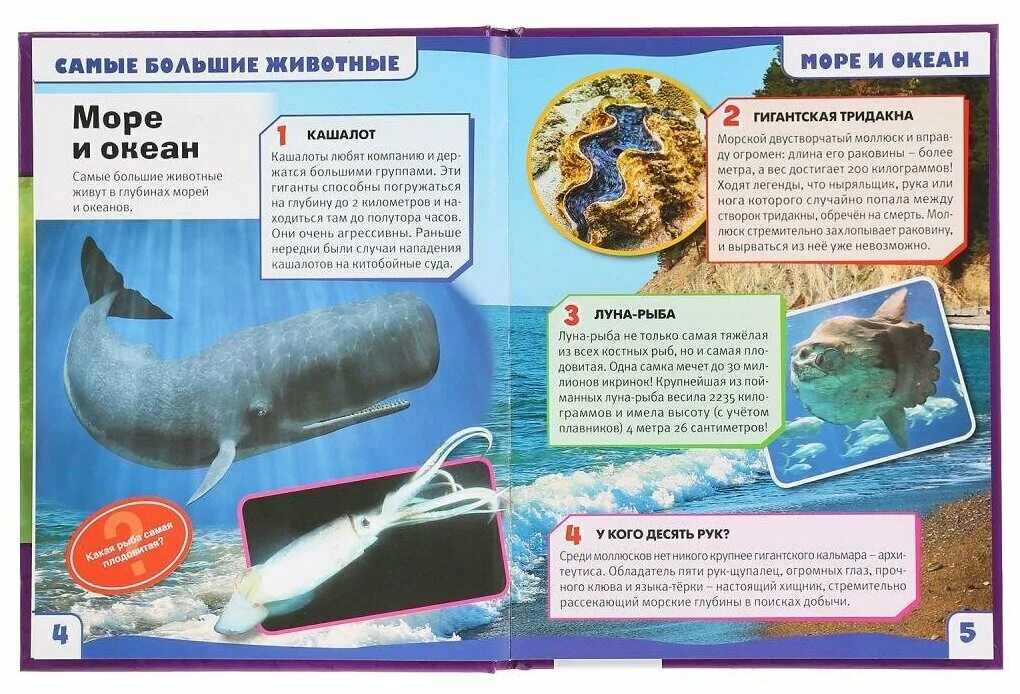 самые большие животные книга. книга про бегемота энциклопедия. энциклопедия с развивающими заданиями 100 фактов умка. энциклопедия про слонов. книга "энциклопедия.