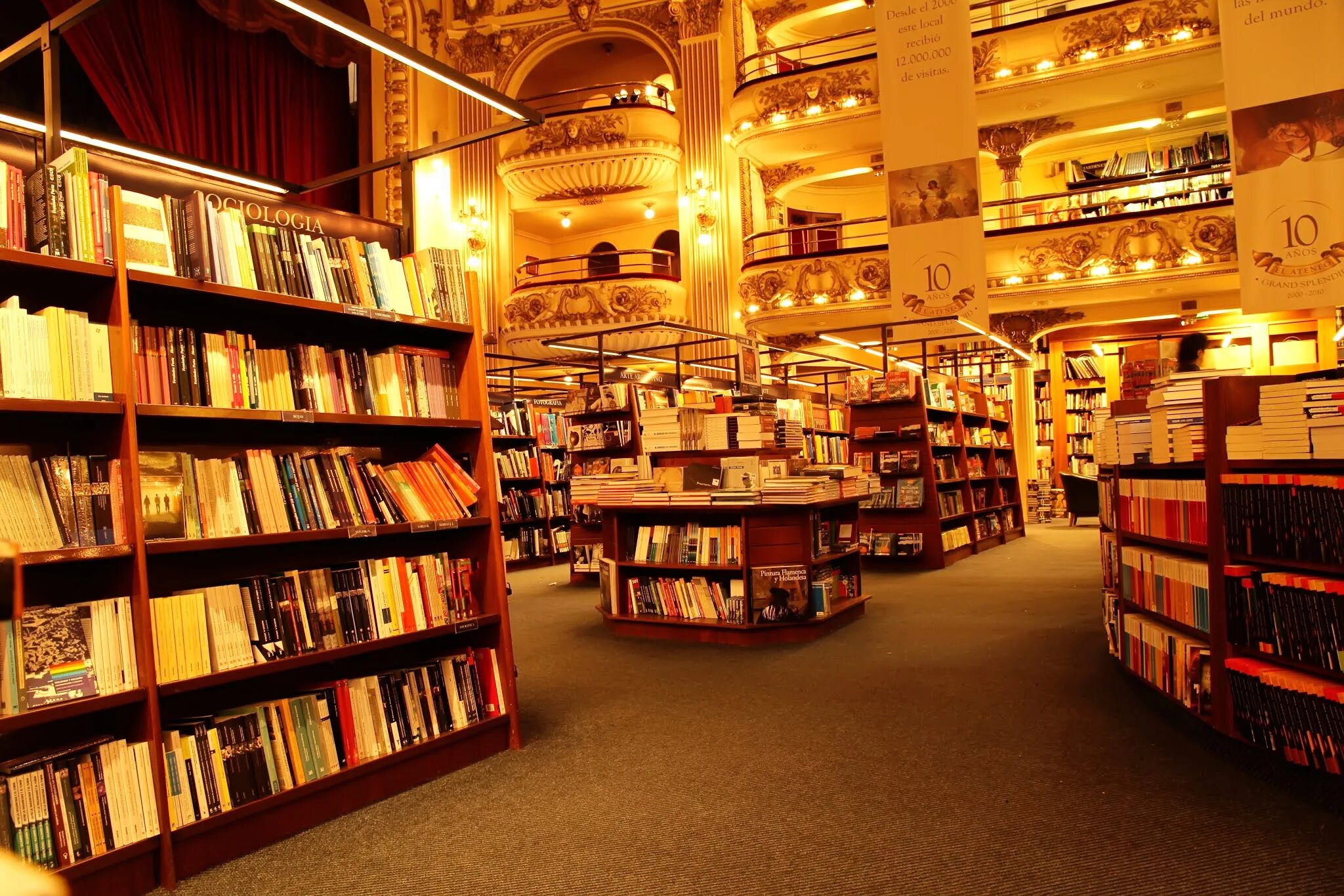 Картинки bookstore. Фото логотип библиотеки. Book shop Interior. Book shop images. These books showed