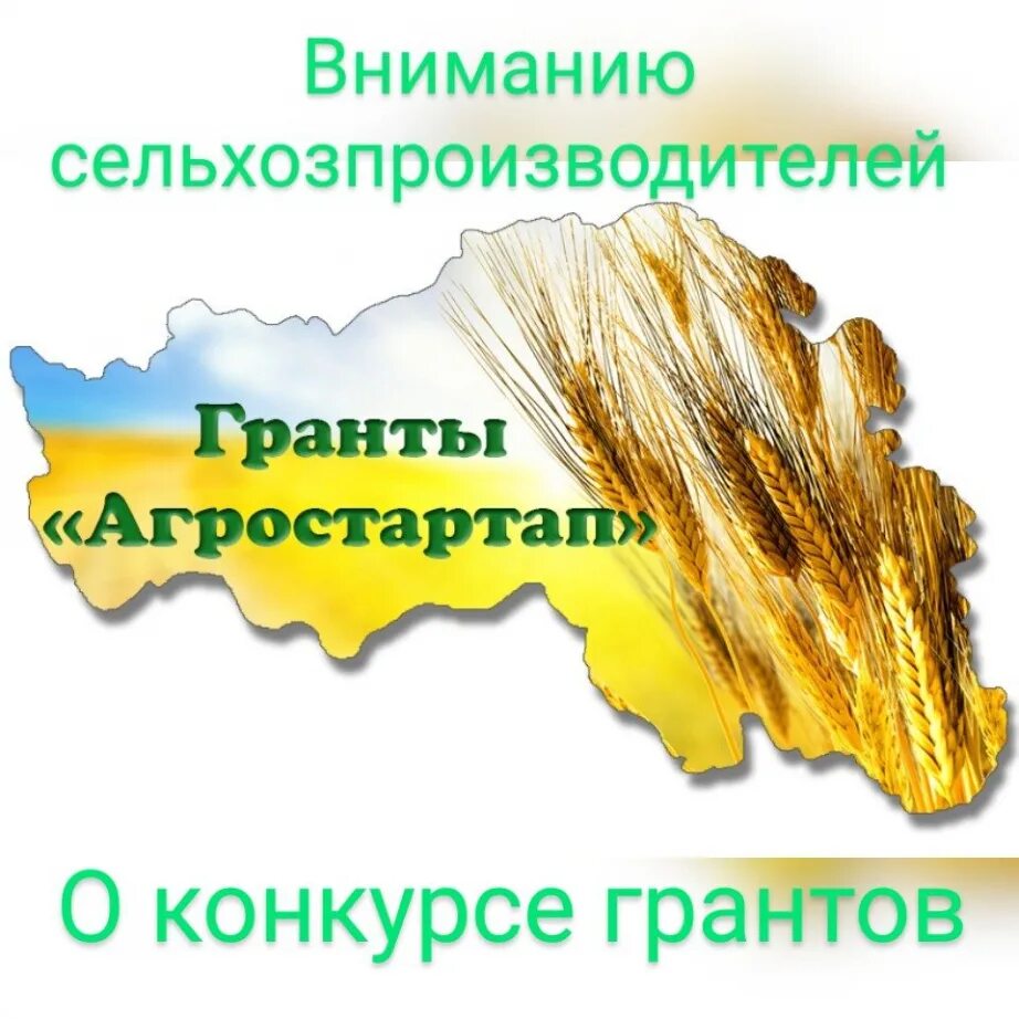 Конкурсы на объявление грантов. Агростартап. Агростартап 2022. Грант агростартап. Конкурс грантов «агростартап».