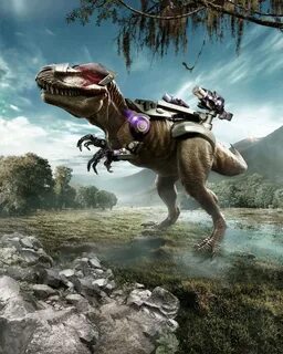 Dina rider