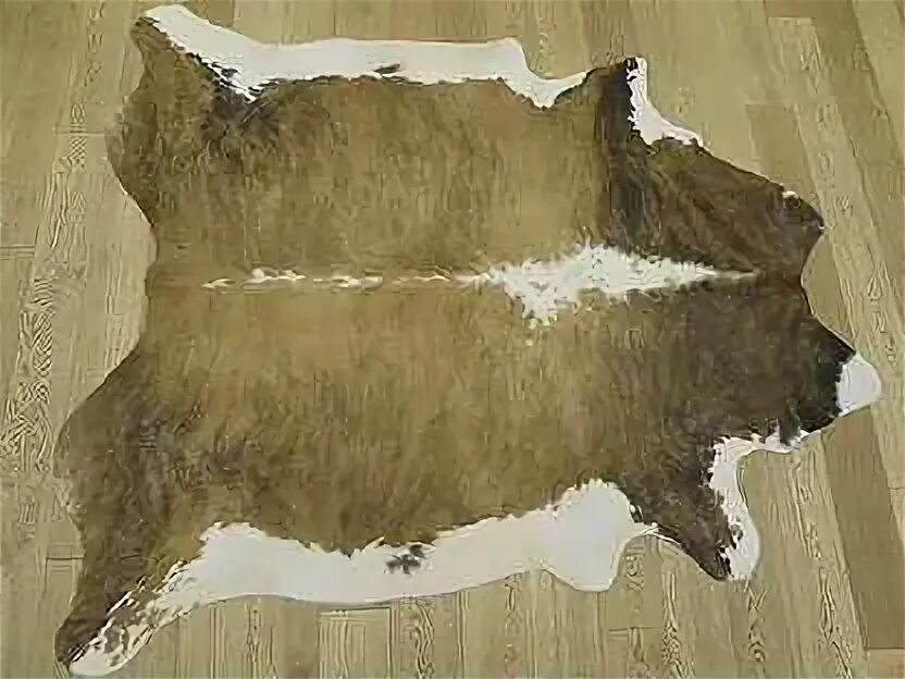 Приму шкуру крс. Шкура быка. гольевая спилковая обрезь шкур крс.