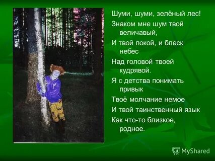 Всякая своему бору шумит