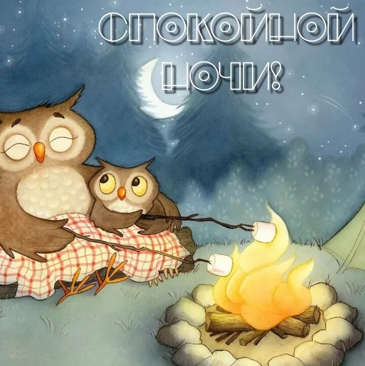 Спокойной ночи картинки прикольные смешные с надписями. Спокойной уютной осенней ночи. Спокойной ночи осенние котики. Спокойной ночи сладких снов с птичками. Добрый вечер с совушкой.