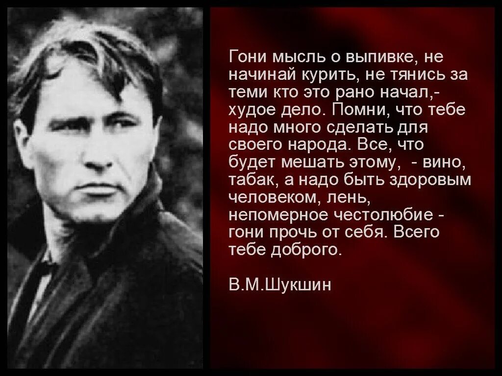 Цитаты Василия Шукшина. Человеку многого не надо