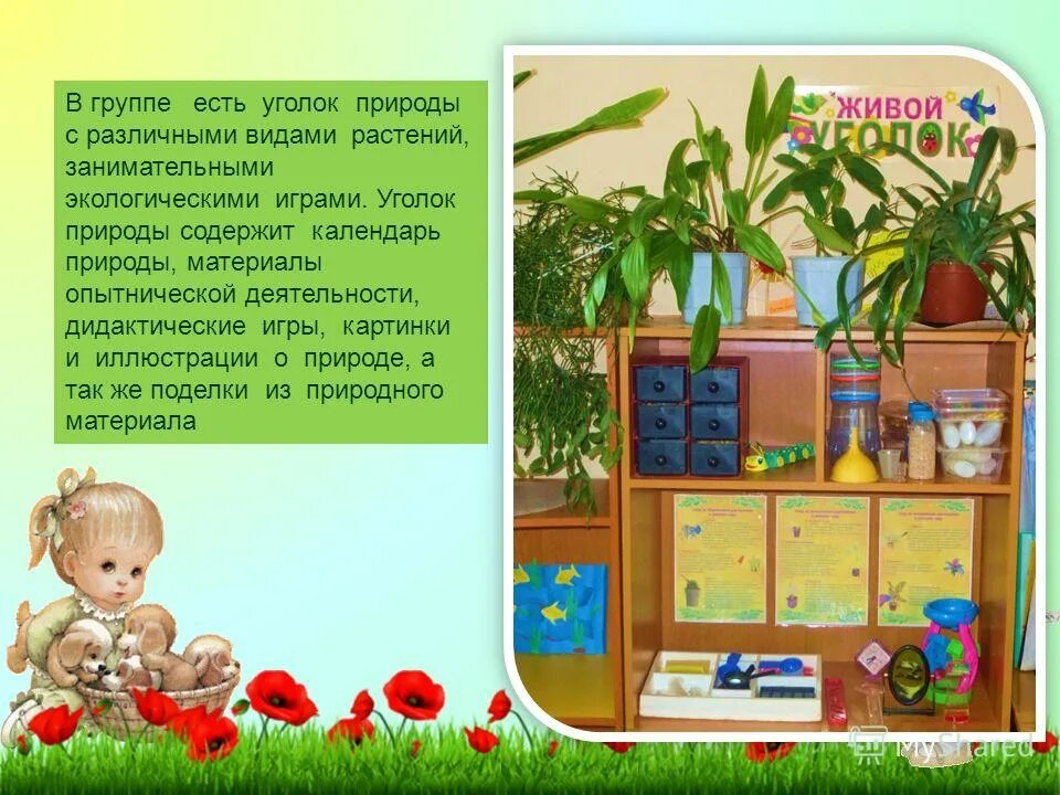Центр природы в детском саду. Опишите какой нибудь уголок природы. Сочинение мой любимый уголок. Описание любимый уголок природы. Растения в уголке природы.