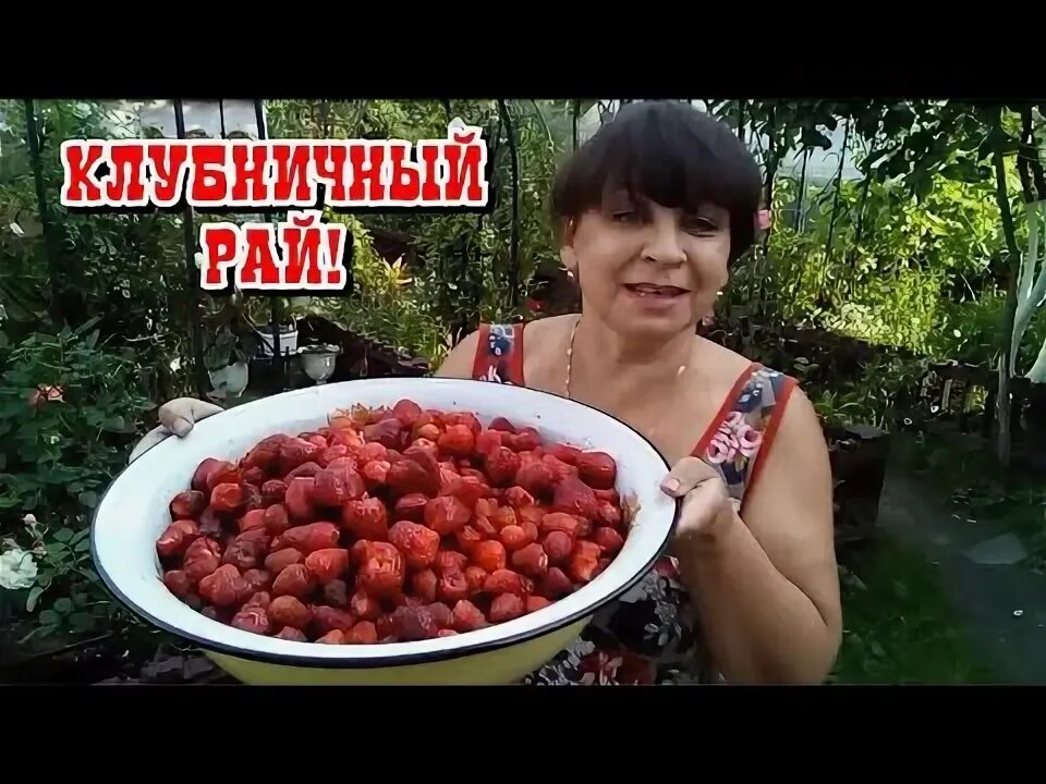, 39, д. Клубничный рай брянск. Клубничный рай брянск. Земляничный рай. Фестивали клубники в краснодаре фото только в краснодаре.
