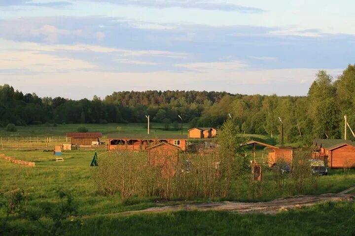 горыныч аджилити лагерь. агротуристический комплекс горыныч. атк горыныч москва. агротуристический комплекс горыныч. атк горыныч.