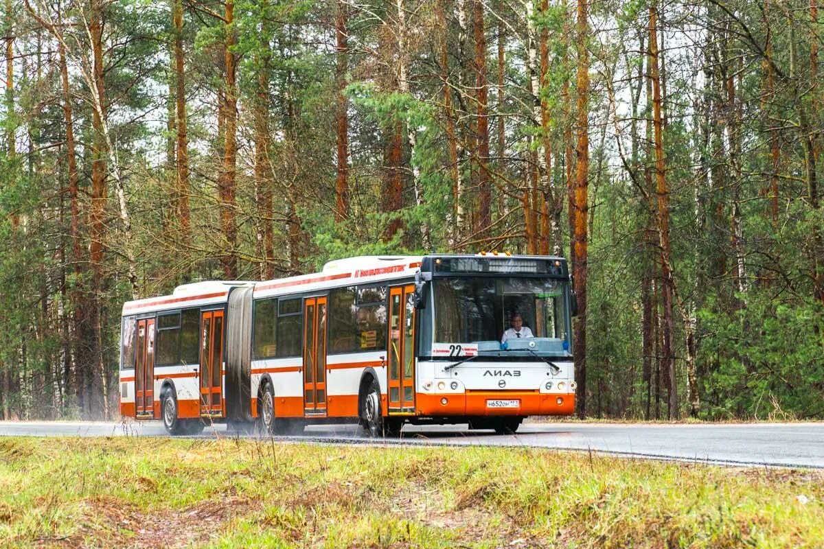 Берёзовый автобус. Березовая Пойма. 17автобус Березка Куйбышеао. Birch Bus.