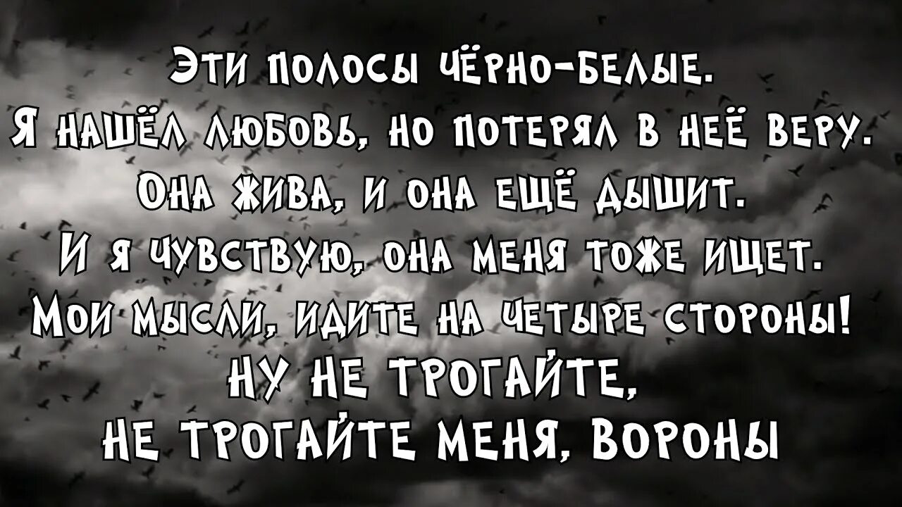 Нервы вороны. Нервы черные вороны текст. Нервы вороны текст. Группа нервы вороны. Песня по моей комнате гуляют черные