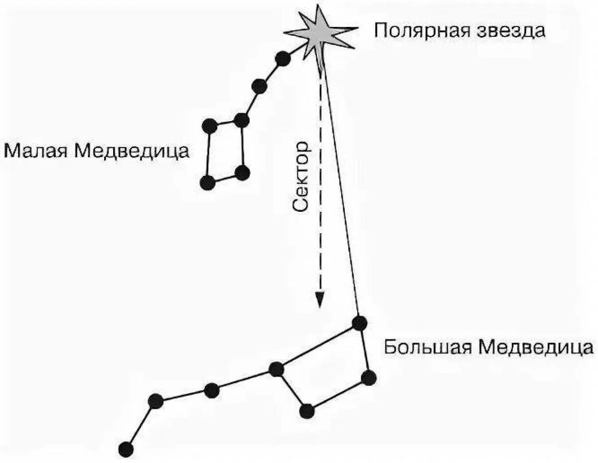 Созвездие малой медведицы схема. Большая и малая Медведица Полярная звезда. Схема Созвездие большой медведицы и малой медведицы. Большая Медведица Созвездие и малая Медведица схема.