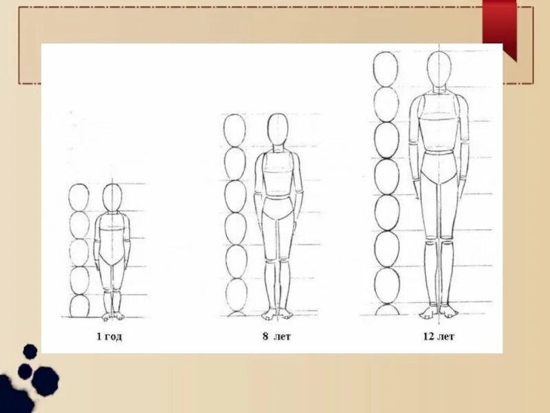 Люди изо. Пропорции фигуры человека. Построение человека для рисования. Пропорции человека схема. Правила построения фигуры человека.