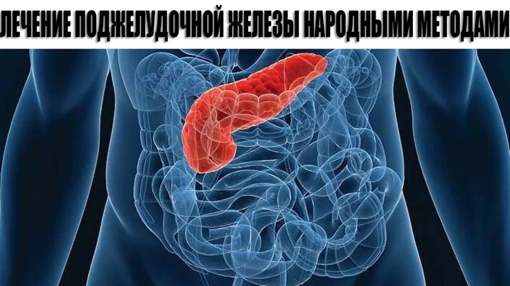Липоматоз поджелудочной лечение лекарствами. Липоматоз поджелудочной. терапия поджелудочной железы. липоматоз поджелудочной железы лекарства.