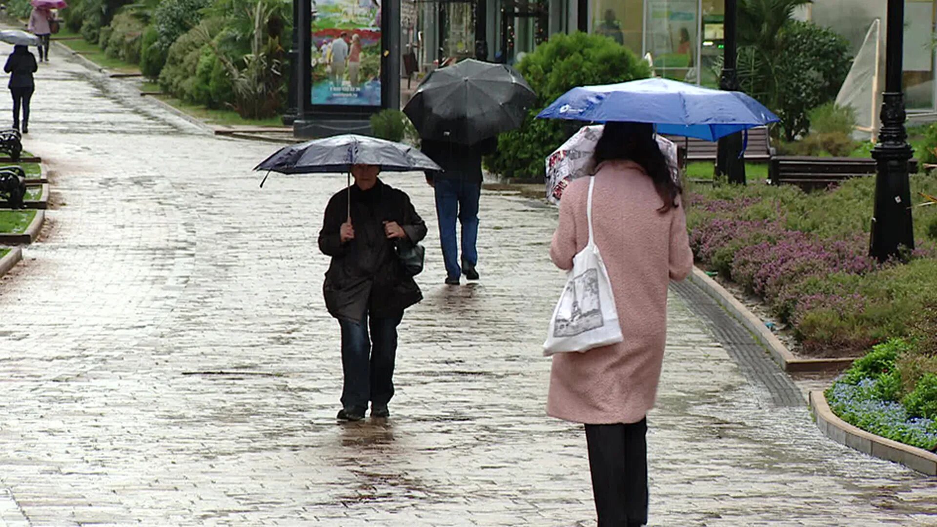 Погода в сочи 20 апреля. Дождь в Сочи. Прогулка под дождём. Дождь и гроза Сочи. Аномальные дожди в Сочи.