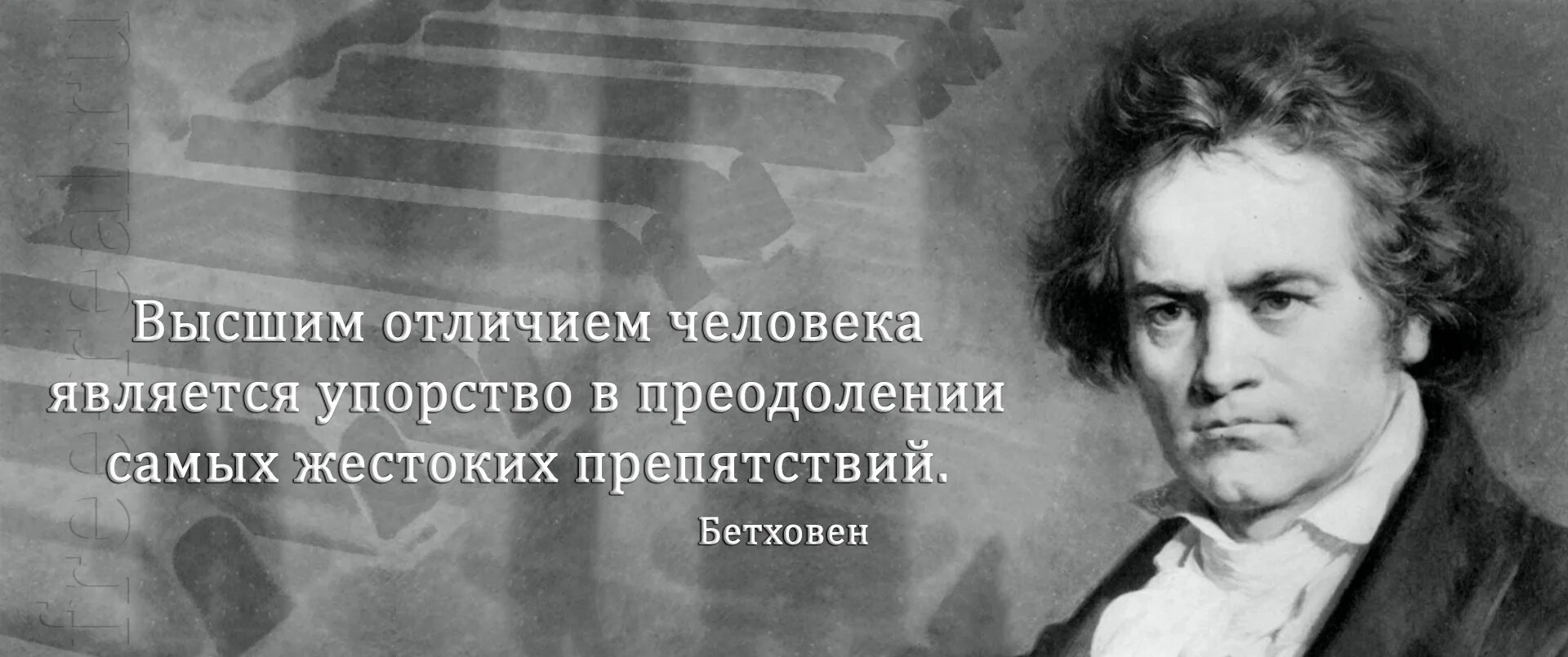 Упорство цитаты. Бетховен цитаты. высказывания о бетховене известных людей. афоризмы и высказывание о бетховене. фразы бетховена.