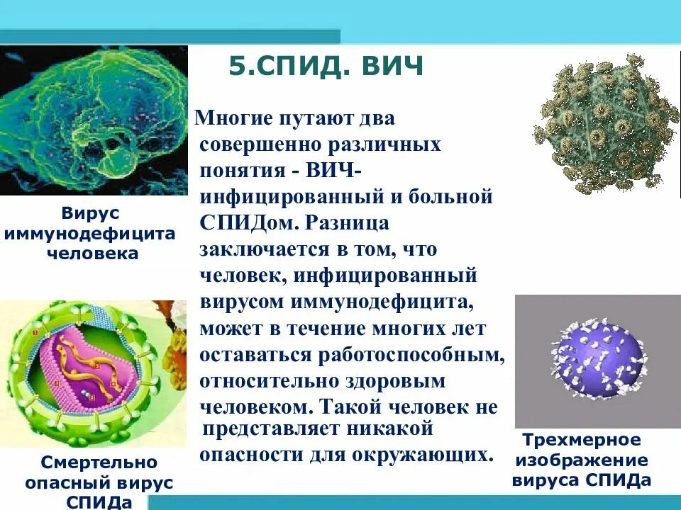 Virus 10. Вирусы презентация 10 класс. Вирусы биология 10 класс. ВИЧ неклеточная форма жизни. Вирус неклеточная форма жизни вирус ВИЧ.