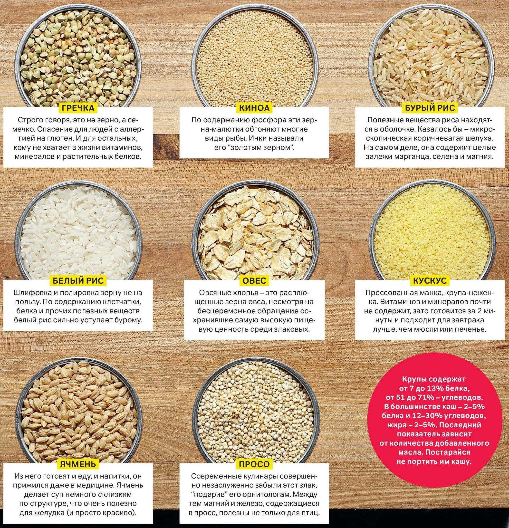 Как часто можно есть кашу. Полезные крупы. Виды круп. Перечень полезных круп. Крупы для каш.