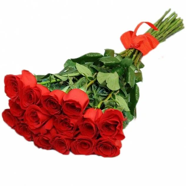 Букет 15 эквадорских роз красные. Букет длинных роз. Букет из голландских роз. Длинные красные розы.