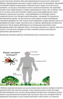 Сколько клещ может сидеть на человеке