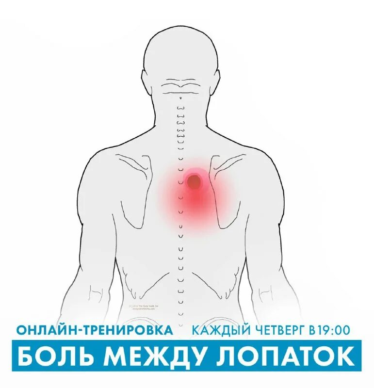 болит мышца под лопаткой с правой стороны. плечелопаточный периартроз. болит под правой лопаткой. болит спина. боль между лопаткой и позвоночником слева.
