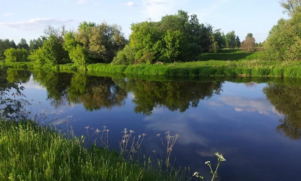 Река детства. Тихая речка. Детство на речке. Свете (река). Время тихая река