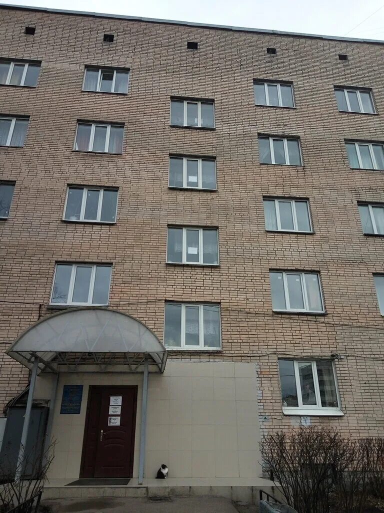 пр. колледж в санкт-петербурге на ул народного ополчения морской колледж. проспект народного ополчения 189. морской колледж сенявина. проспект народного ополчения 189.