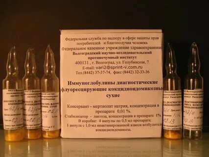 Сыворотка глобулина