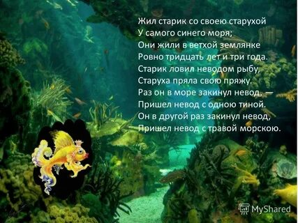 На дне морском текст