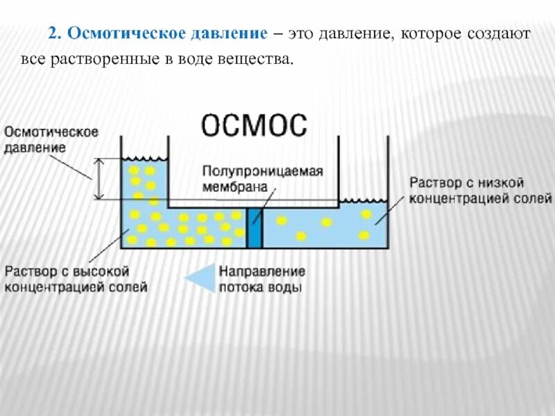 Осмотическое давление простейших. Осмос и осмотическое давление химия. осмотическоетдавлерие. осмотиче кое давление.. осмотри ческое давление.
