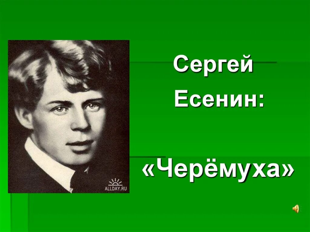 С. Есенин. Есенин с. а. "черемуха".